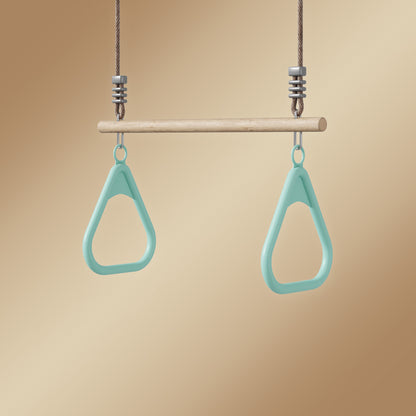 Spimbey Trapeze Bar and Triangle Handles